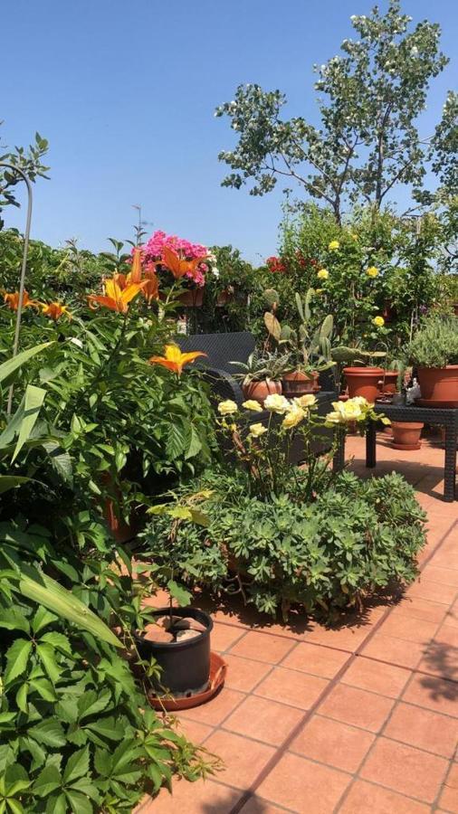Il Giardino Sui Tetti Daire Bolonya Dış mekan fotoğraf